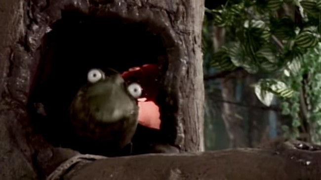 Imagen de 31 minutos: Las vacaciones de Tulio - Episodio 12 - La rana que nadie quería