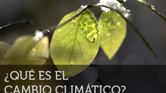 Imagen de Qué es el cambio climático