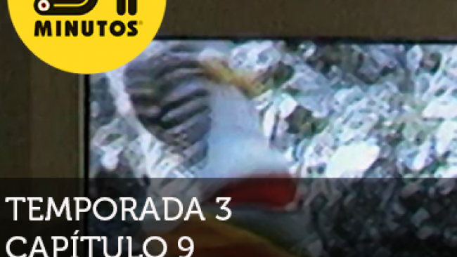 Imagen de 31 Minutos temporada 3 episodio 9