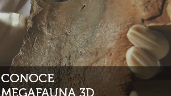 Imagen de Conoce Megafauna 3D