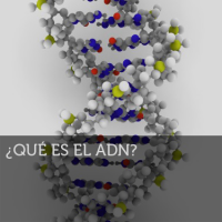 Imagen de Qué es el ADN