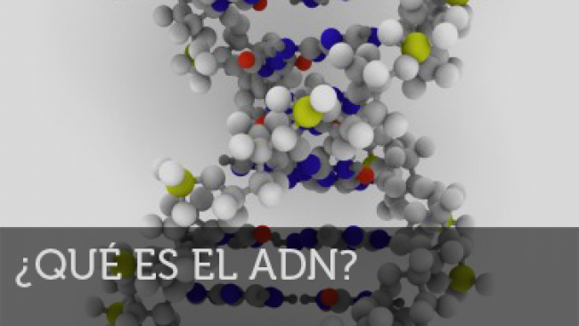Imagen de Qué es el ADN