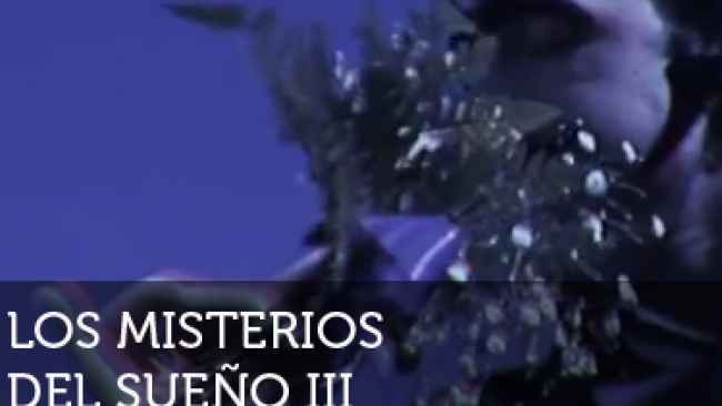 Imagen de ¡Neurona!: Los misterios del sueño 3