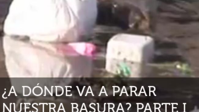 Imagen de ¡Neurona!: ¿A dónde va a parar nuestra basura? 1