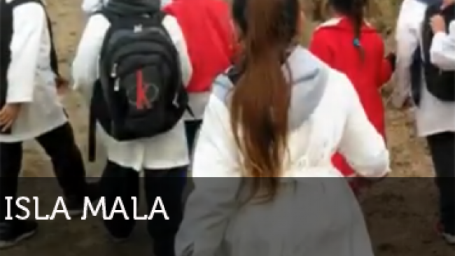 Imagen de Isla Mala